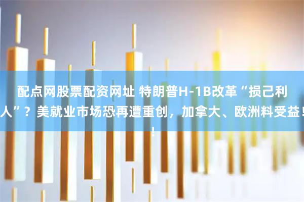 配点网股票配资网址 特朗普H-1B改革“损己利人”？美就业市场恐再遭重创，加拿大、欧洲料受益！