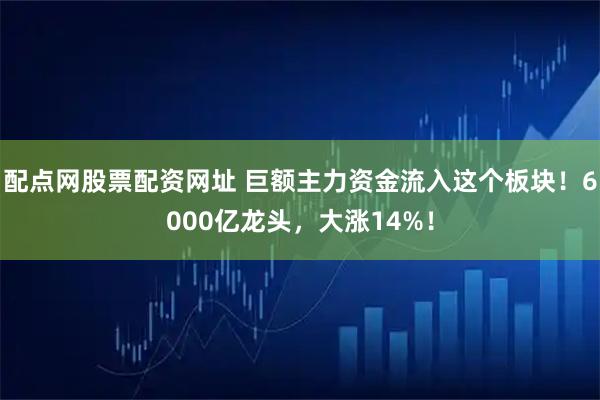 配点网股票配资网址 巨额主力资金流入这个板块！6000亿龙头，大涨14%！