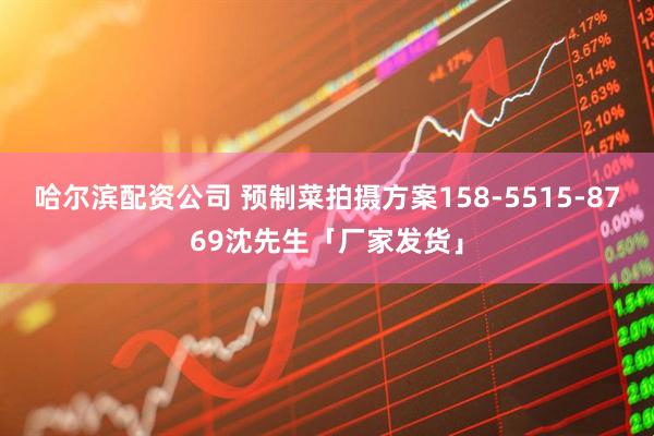 哈尔滨配资公司 预制菜拍摄方案158-5515-8769沈先生「厂家发货」