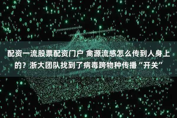 配资一流股票配资门户 禽源流感怎么传到人身上的？浙大团队找到了病毒跨物种传播“开关”