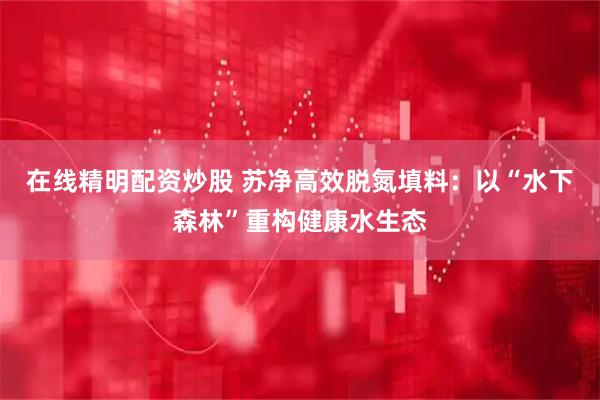 在线精明配资炒股 苏净高效脱氮填料：以“水下森林”重构健康水生态